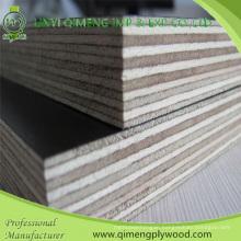 12mm Waterproof Glue Construction Concrete Plywood with Cheaper Price